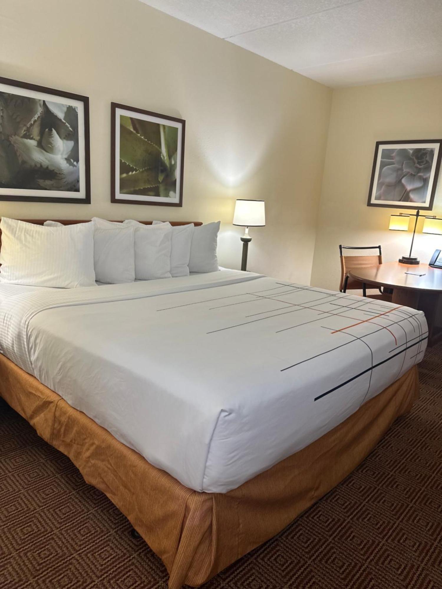 La Quinta Inn & Suites By Wyndham Sawgrass Санрайз Экстерьер фото